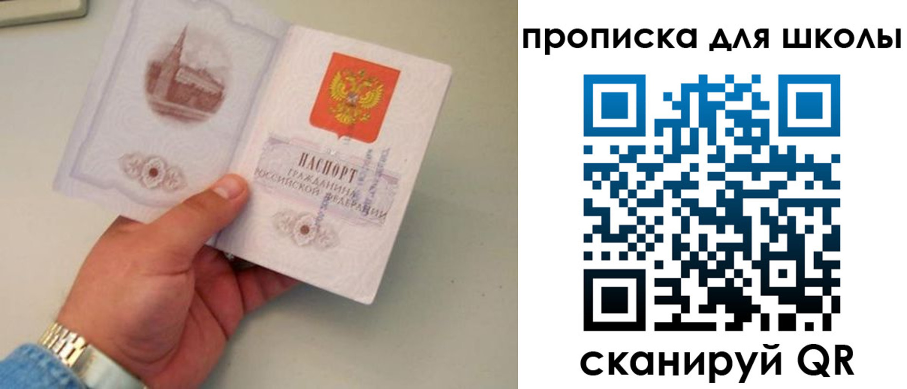 временная регистрация поиск в Жердевке